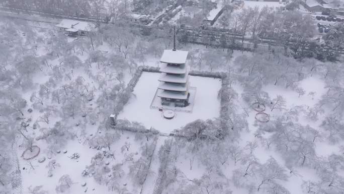 4k航拍武汉东湖磨山景区樱园大雪雪景