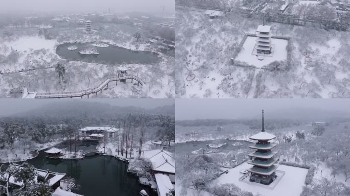 4k航拍武汉东湖磨山景区樱园大雪雪景