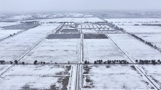 航拍农村乡镇集镇田野平原雪景