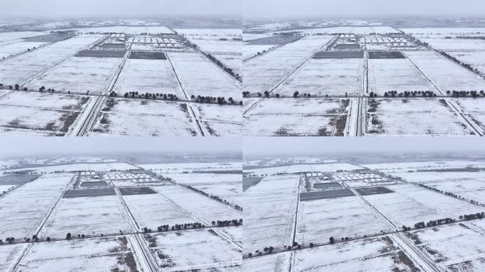 航拍农村乡镇集镇田野平原雪景