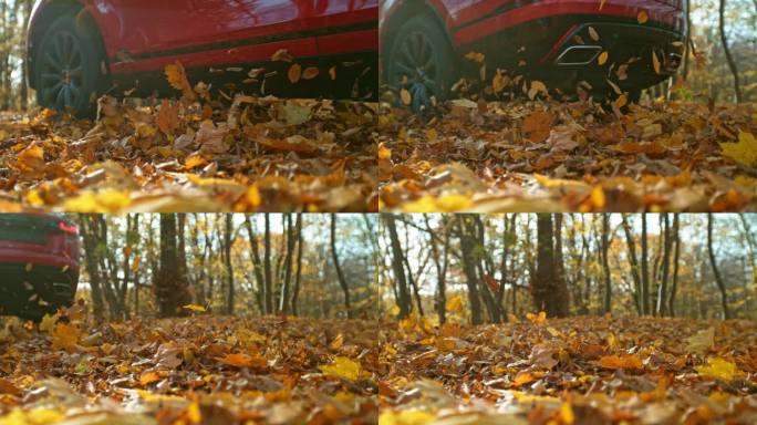 汽车在秋叶中奔跑的超级慢动作