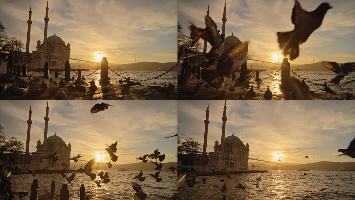 SLO MO日落宁静:鸽子从伊斯坦布尔的海滨长廊翱翔到奥尔塔科伊雄伟的清真寺和桥梁#黄金时间小夜曲#