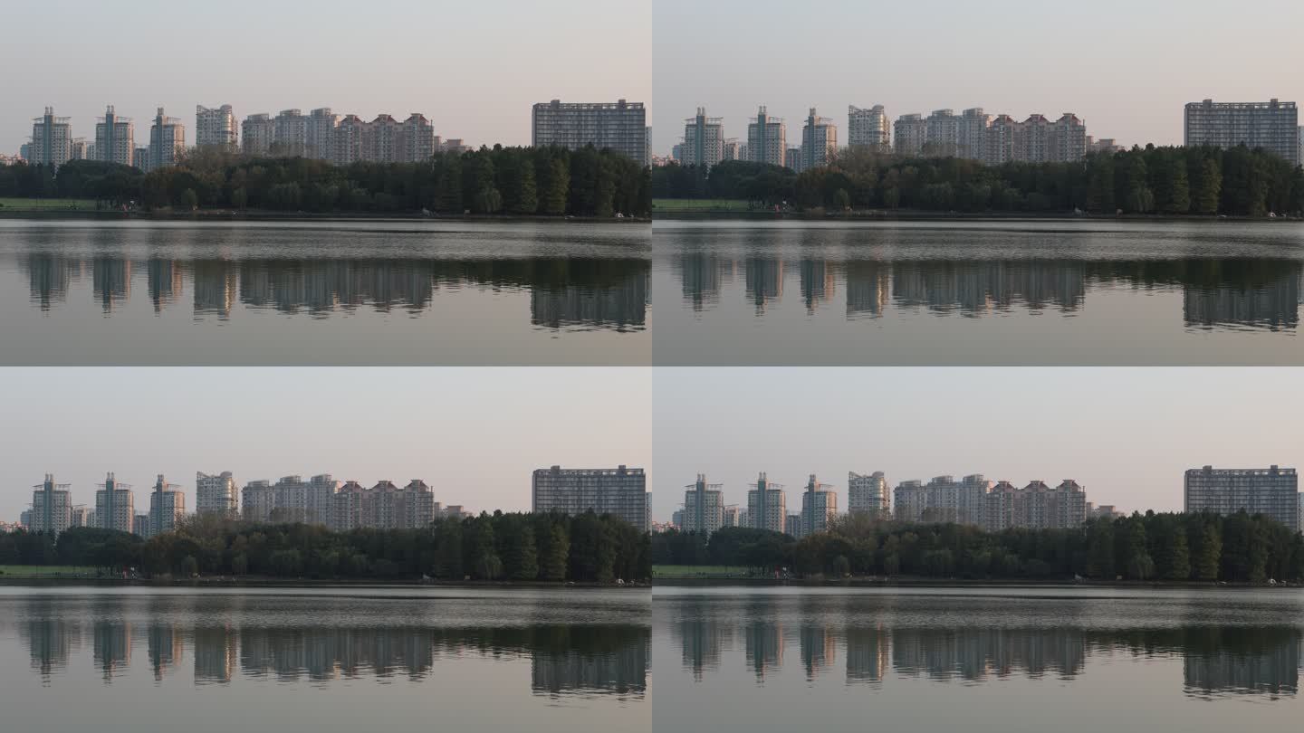 上海世纪公园湖面