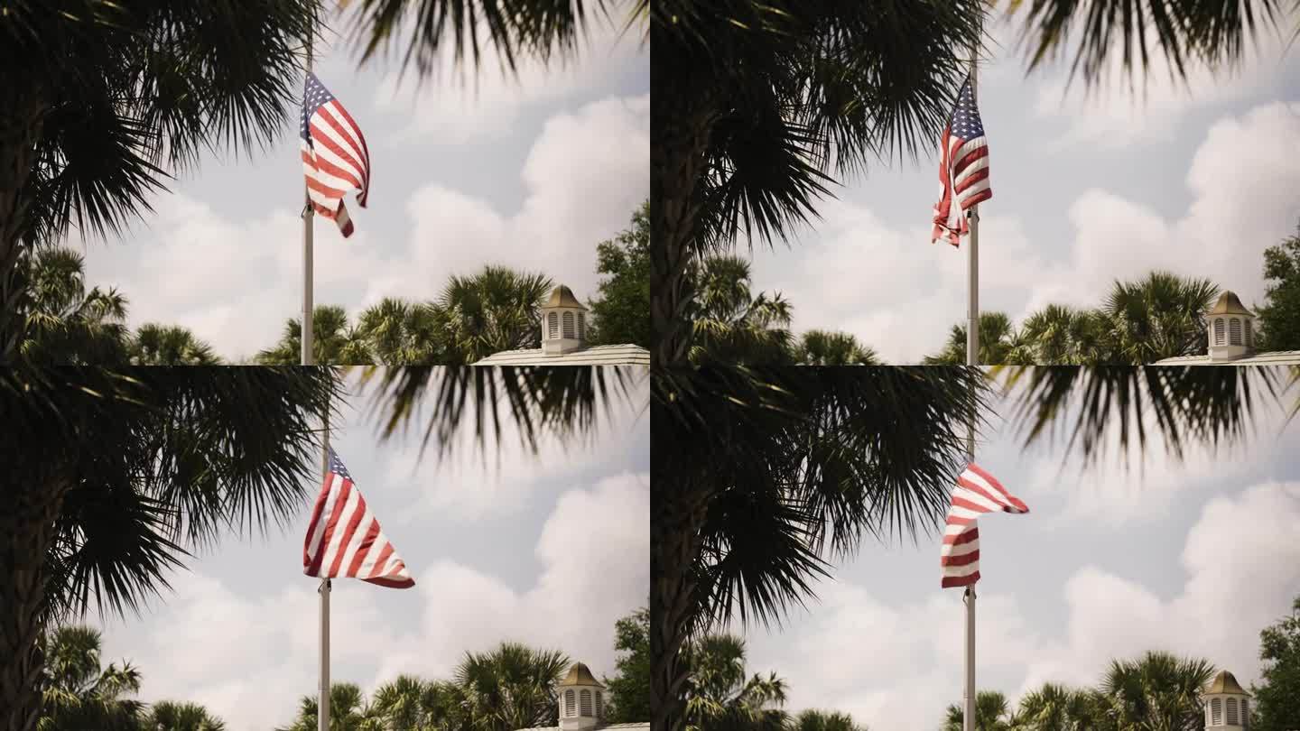 美国国旗在风中飘扬，明亮的天空和热带树木