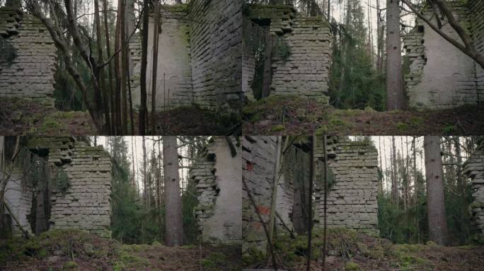 那座废弃的旧建筑的墙壁。森林的背景