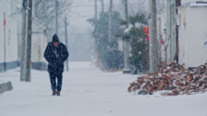 农村二十四节气大雪