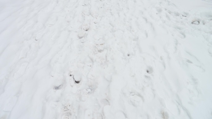 雪地 脚步 脚印 雪中行走  雪地行走