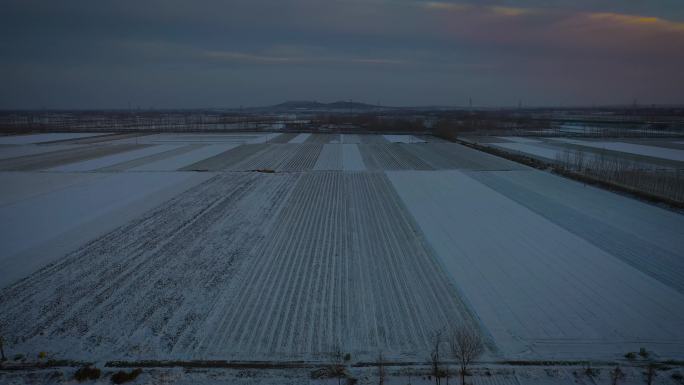 乡村 麦地 雪景 冬季 日出  日出雪景