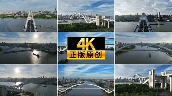 卢浦大桥 上海跨江大桥航拍合集