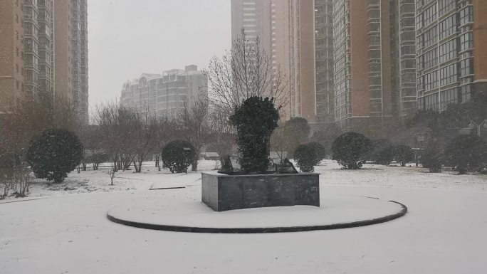 大雪中的小区