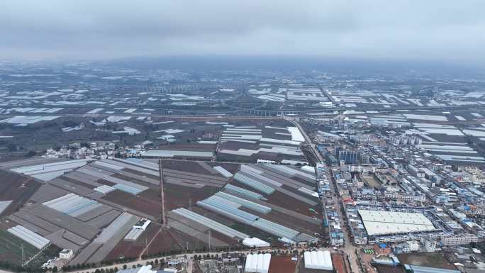 4K云南红河弥勒大棚蔬菜水果种植基地合集