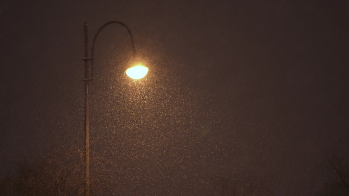 下雪夜晚路灯 飘雪