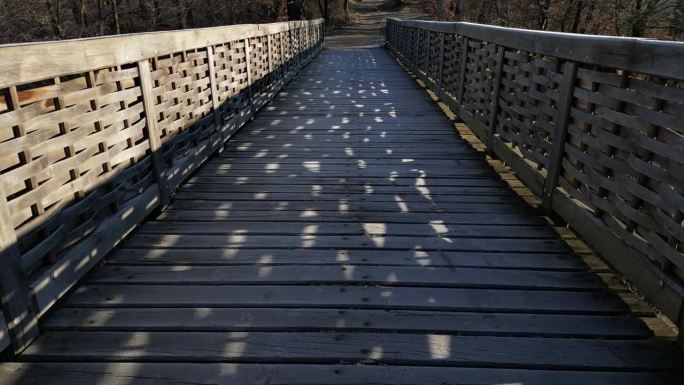 中世纪的橡木，螺丝。护城河上的桥:根据当代设计建造的护城河上的桥如果城堡受到威胁，木桥可以被迅速烧毁