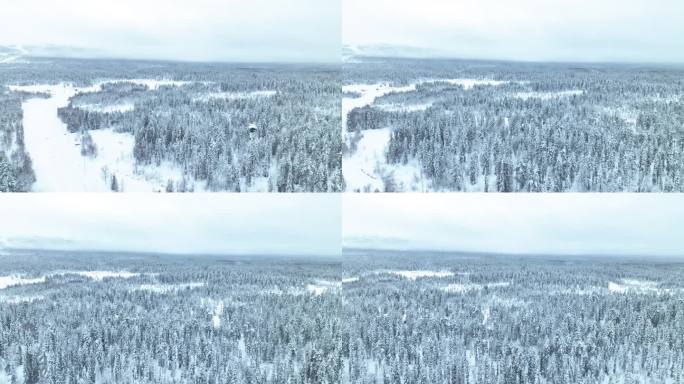 芬兰pyha - loosto国家公园的密林雪景全景。无人机航拍