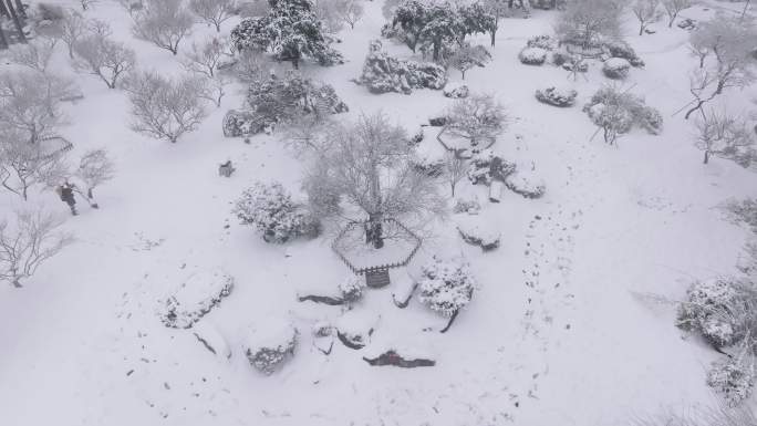 4k航拍武汉东湖磨山梅园大雪雪景