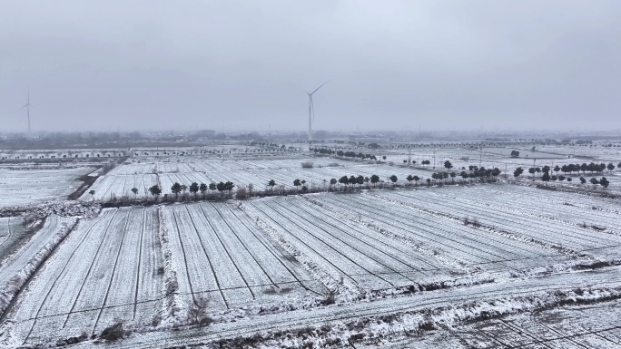 航拍农村乡镇集镇田野平原雪景