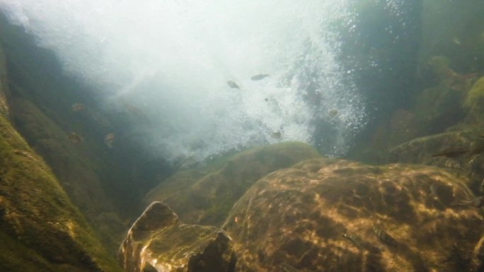 河边小溪河底海底水下世界流水岩石光影升格