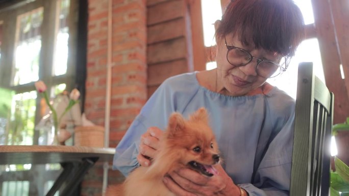 微笑的老妇人在周末放松和拥抱她的狗，并与她的狗建立联系