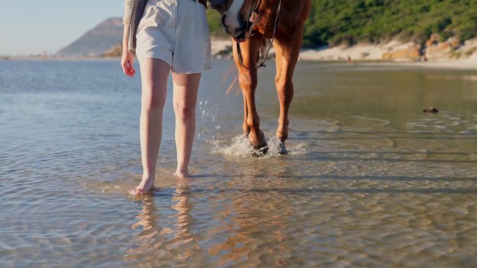 脚，海滩和女人与马走到水在大自然中旅行，冒险和旅行。岛屿，度假村和女人的腿与种马在海边日落的乐趣，自