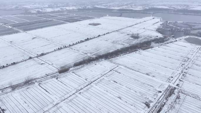 航拍农村乡镇集镇田野平原雪景