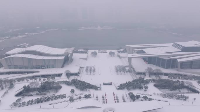 4k航拍武汉汉阳琴台剧院大雪雪景