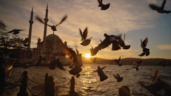 奥尔塔科伊宏伟清真寺的黄昏宁静:鸽子的剪影从伊斯坦布尔的海滨长廊翱翔到奥尔塔科伊宏伟的清真寺和大桥