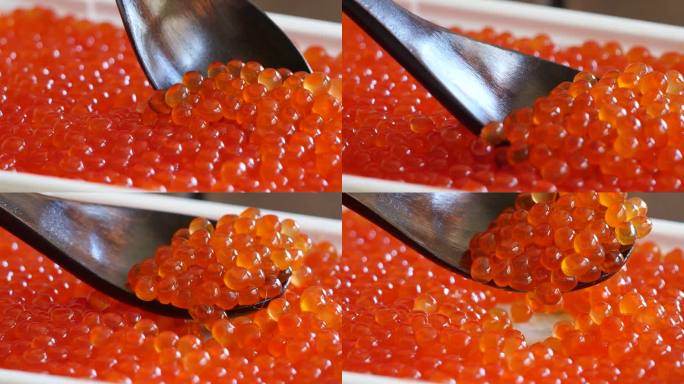一个美丽和新鲜的鲑鱼卵的特写视频。