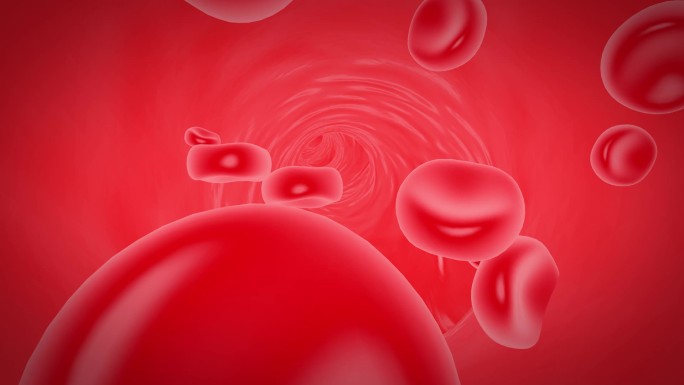 血细胞动画