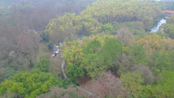 杭州植物园春天风景视频素材40