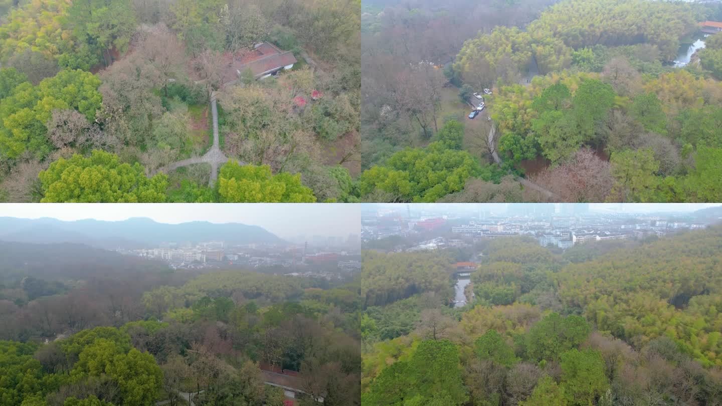 杭州植物园春天风景视频素材40