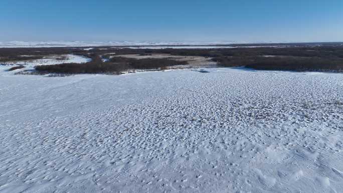 冰雪覆盖的内蒙古扎敦河湿地