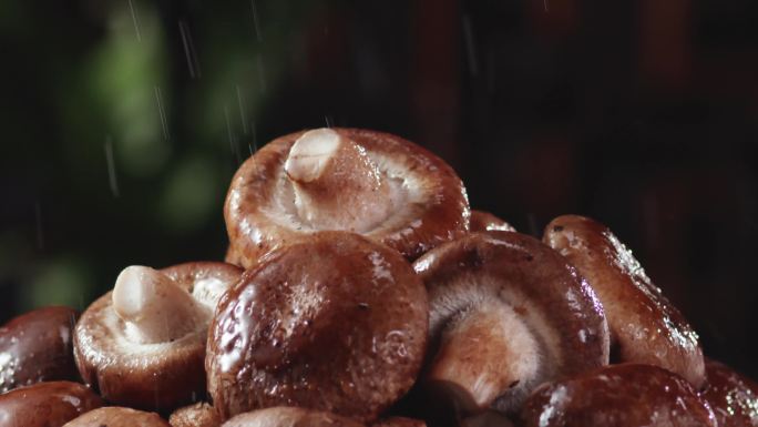 雨水落在香菇上