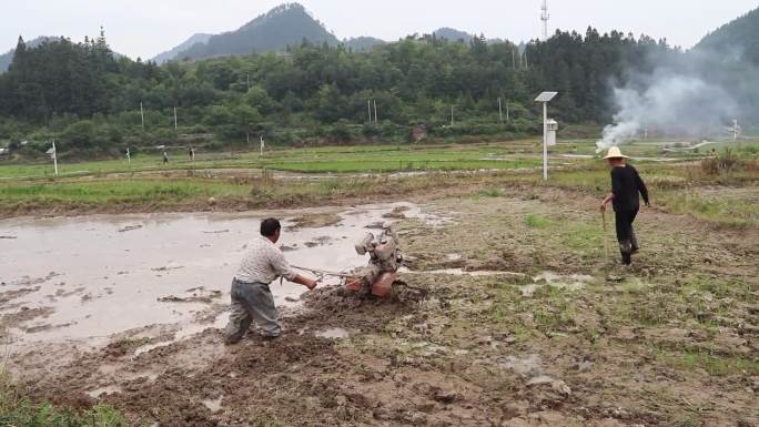 贵州省 台江县 村民在田间犁地