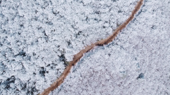 4K航拍天目山脉龙王山雾凇雪景风光