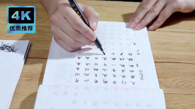 成人写字帖练字学习写字练习书法硬笔书法