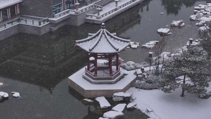 西安地标2024大唐芙蓉园龙年灯会雪景