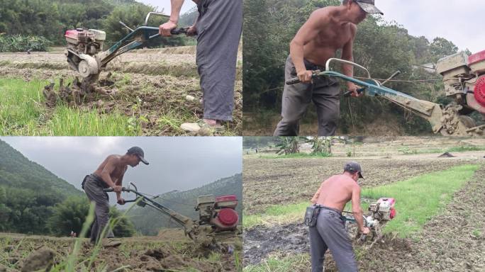 春耕农民犁田耙地耕作农忙劳动农耕机耕地