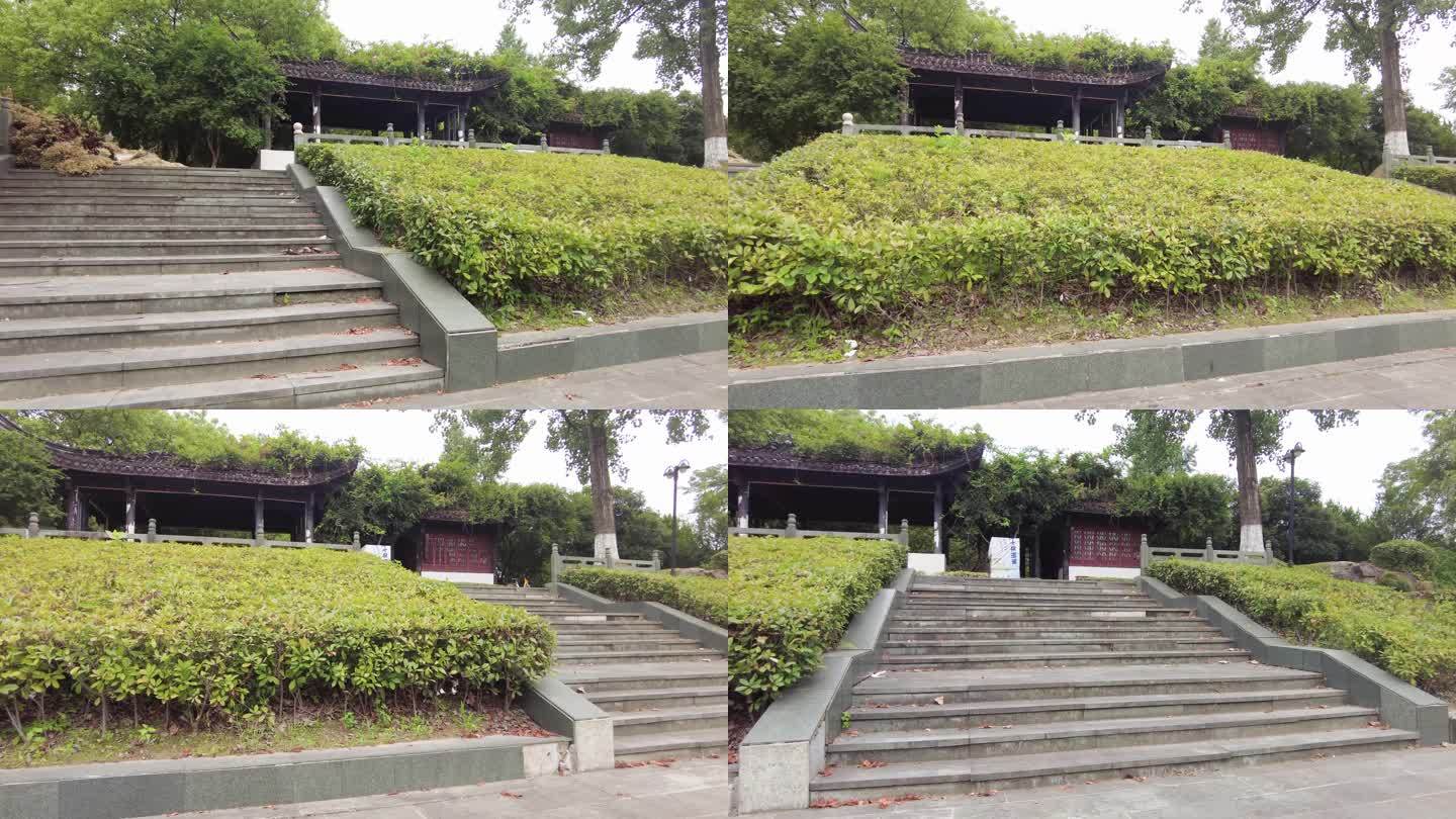 公园树林草丛和庭院