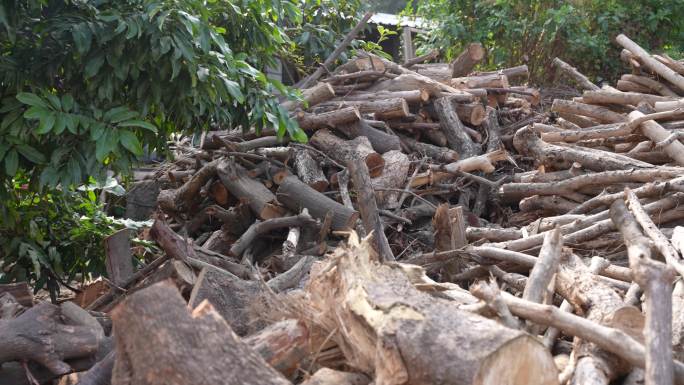 很多不同的木材堆放一起 砍木材
