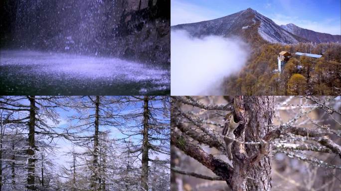 清泉石上流 秦岭雾凇美景