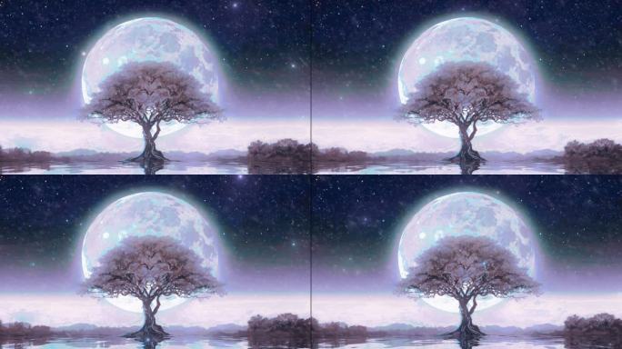 圆月树木夜晚风景视频素材