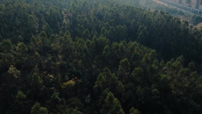 高铁城市村庄山林输电网