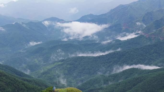 大山里的森林云海 旅行 旅游 航拍