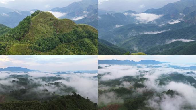 大山里的森林云海 旅行 旅游 航拍