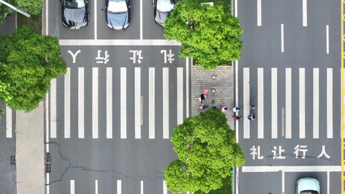 礼让斑马线 礼让 学生过马路 儿童