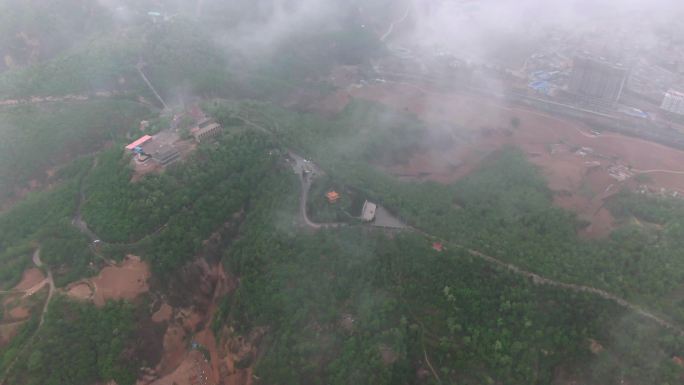 4k森林大自然流水风景树林山水自然山