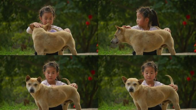 和狗玩耍的农村女孩