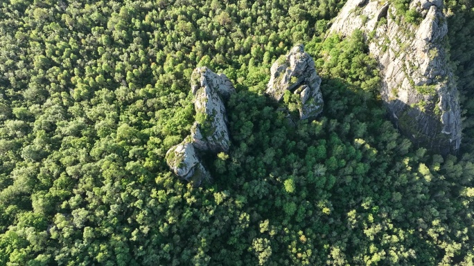 高山森林山石自然风光