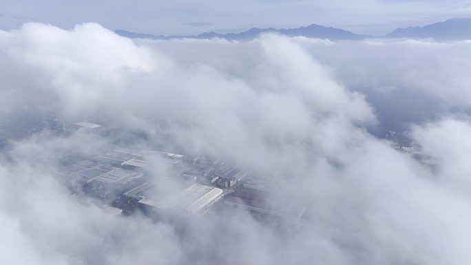 香菇大棚4K原创云海云雾自然农业种植航拍