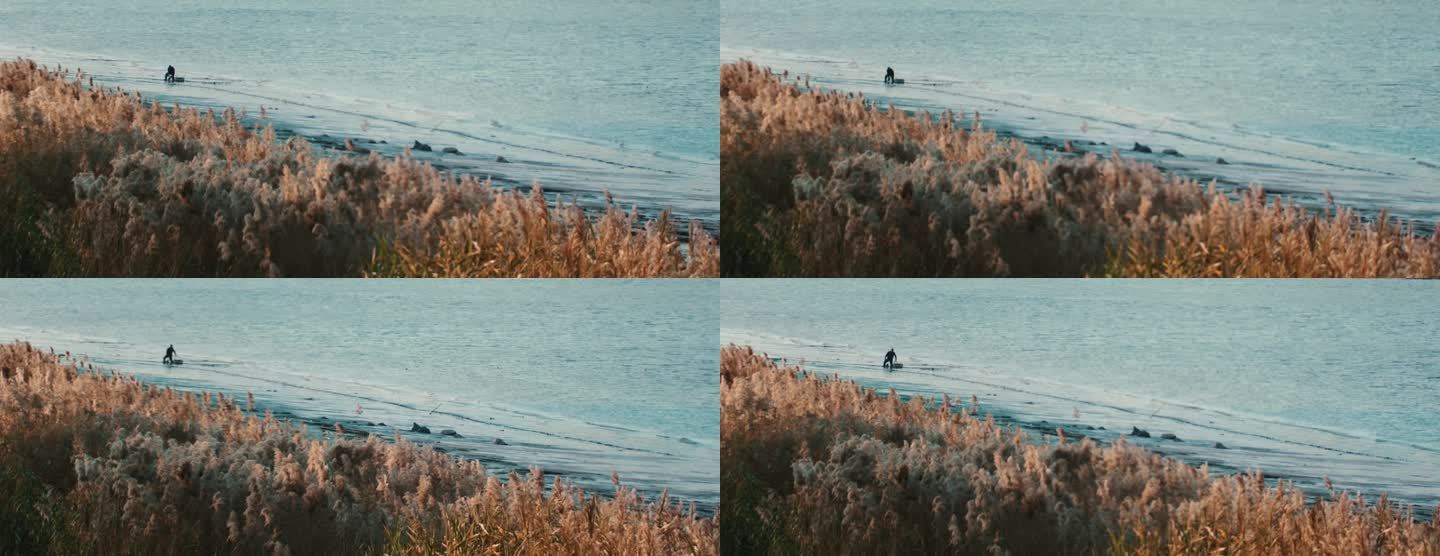 江畔风吹芦苇渔民打理电影感空镜
